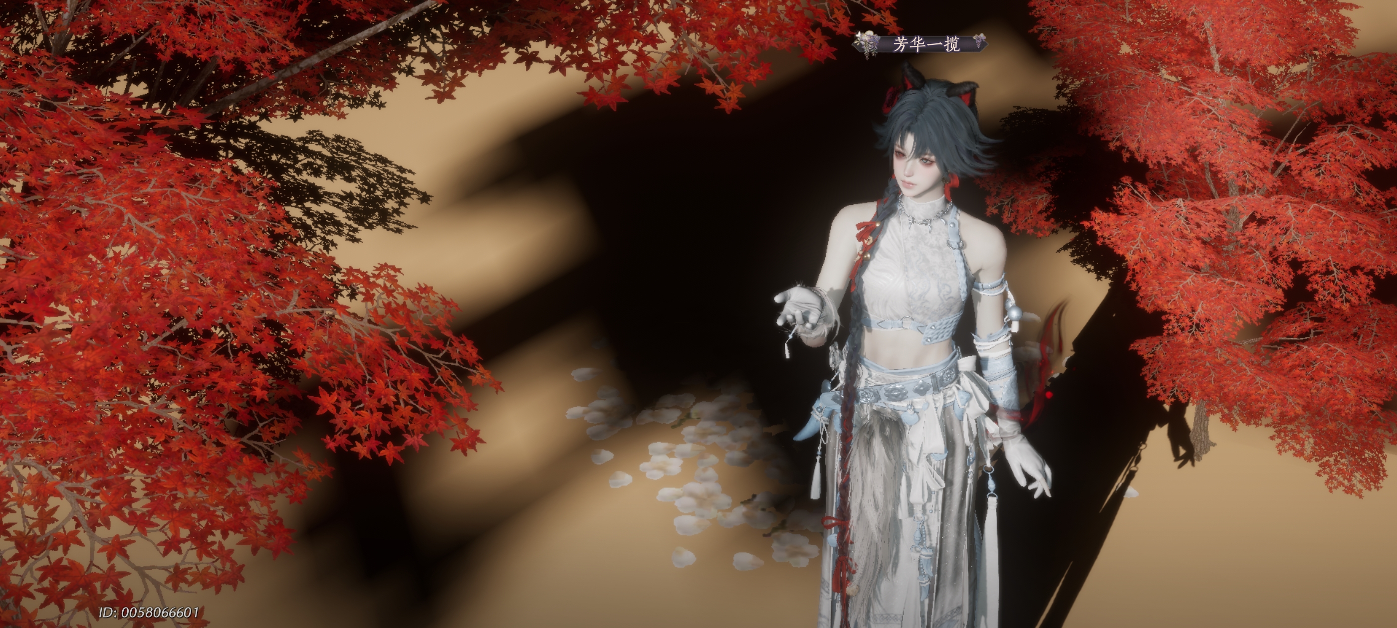 一个神秘的福建大蟑螂